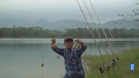 水庫(kù)釣魚比賽視頻大全,技巧、激情與知識(shí)的完美融合
