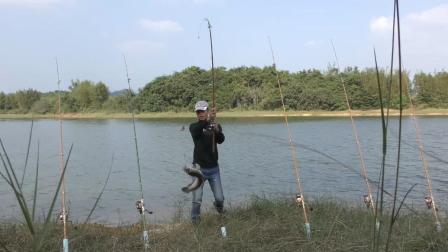 水庫(kù)釣魚比賽視頻大全,技巧、激情與知識(shí)的完美融合