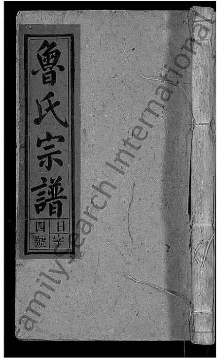 魯姓明星帶你探索自然之美,尋覓內(nèi)心寧靜之旅