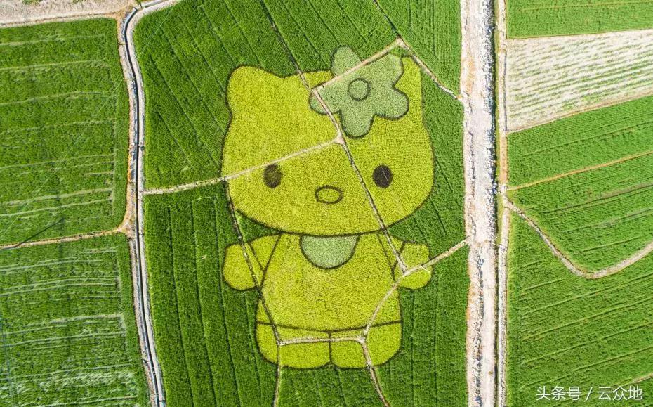 小巷深處的寶藏小店，最新賺錢(qián)創(chuàng)意大揭秘