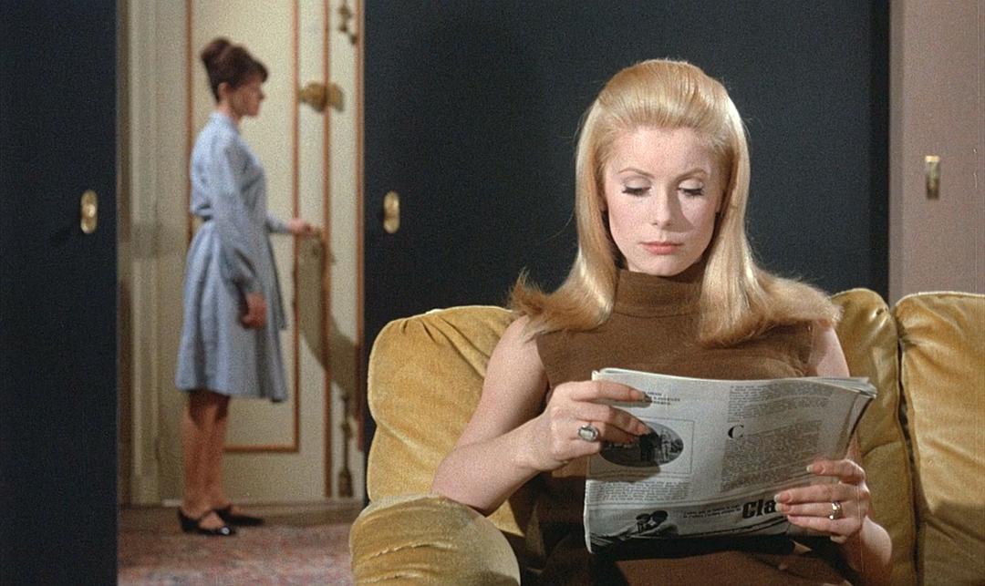 光影交織的夢幻之旅,白晝美人電影賞析??