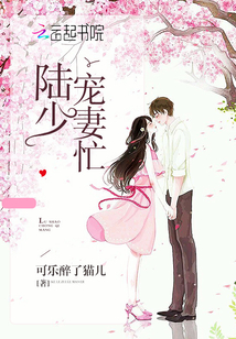 寵妻夜夜新章節深度解析與觀點闡述