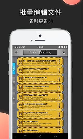 Wiboxls最新版3.3.3，技術革新的里程碑