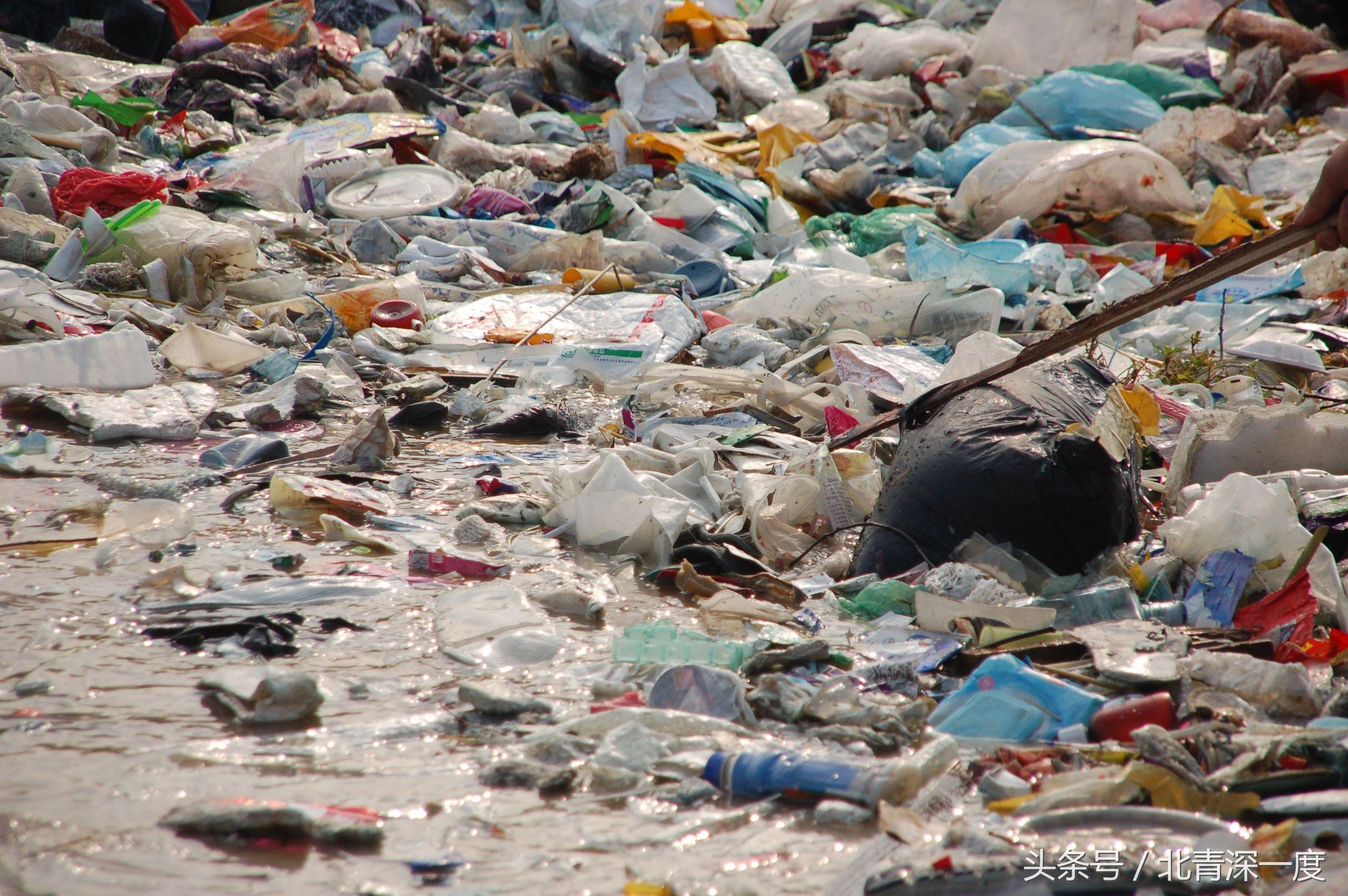 太倉垃圾事件最新動態(tài),奇遇中的友情再生與垃圾處理進展