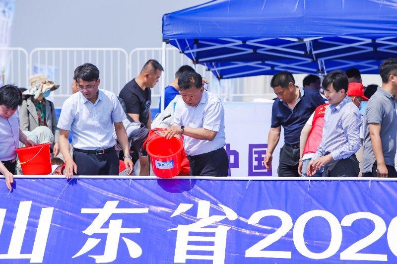 東營至濰坊環渤海高鐵最新動態,建設步驟指南與最新進展