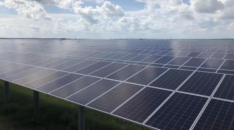 正信光電最新資訊,陽(yáng)光下的日常趣事與真摯友情探索