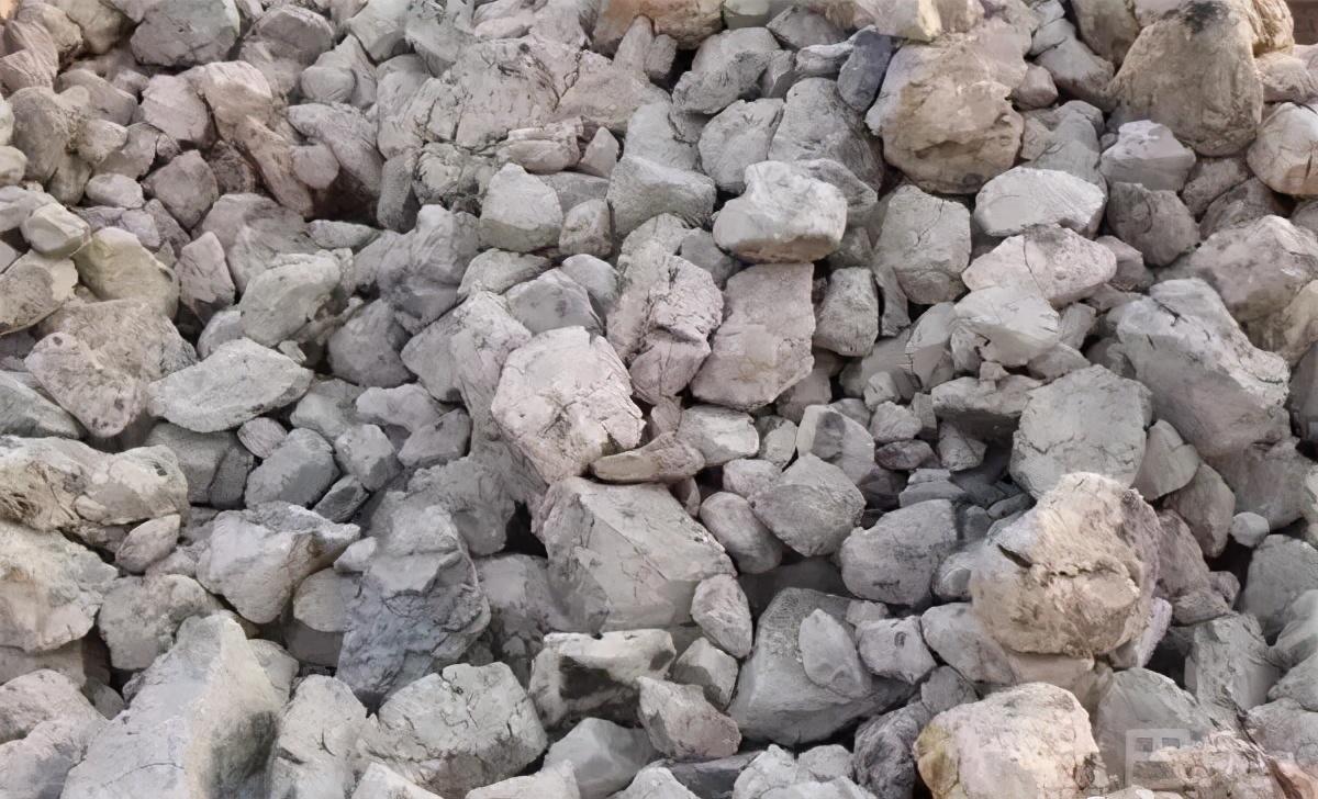 鈮鐵最新行情，揭示市場走勢與一段溫馨的友情故事