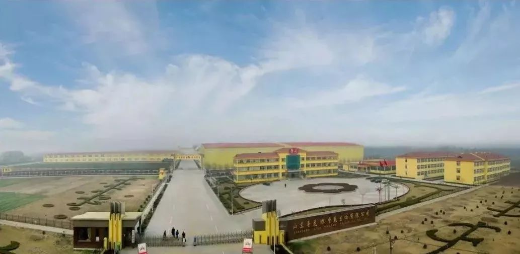 定陶賽托生物上市,變化中的學習成就自信與輝煌