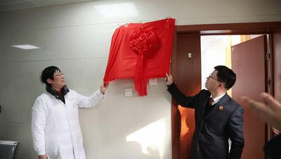 王小紅最新動態揭秘,日常趣事與友情的溫馨畫卷展現眼前