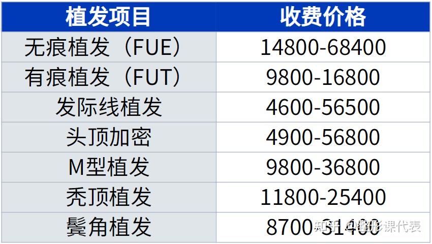 種頭發(fā)的價(jià)格之旅,探尋價(jià)格與自然的浪漫遨游
