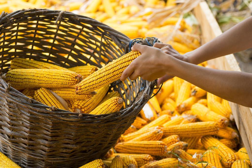 三月行情，時尚與投資完美交融的時刻