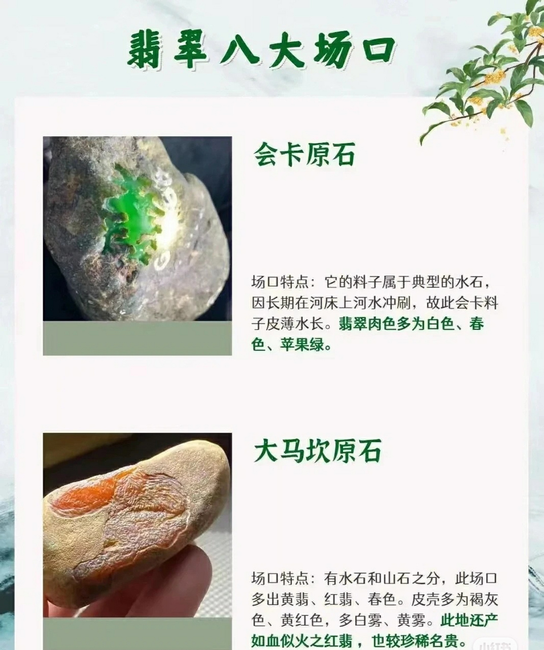 最新翡翠場口深度論述，探索翡翠原石的新發現與奧秘