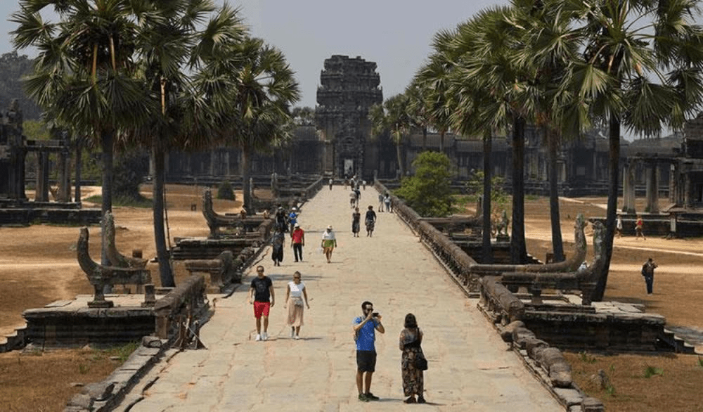 柬埔寨最新動態概覽