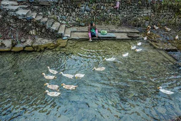 丁志華，閃耀光芒，引領(lǐng)時(shí)代新潮流