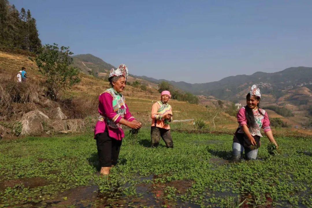 汕頭金平疫情最新動態更新