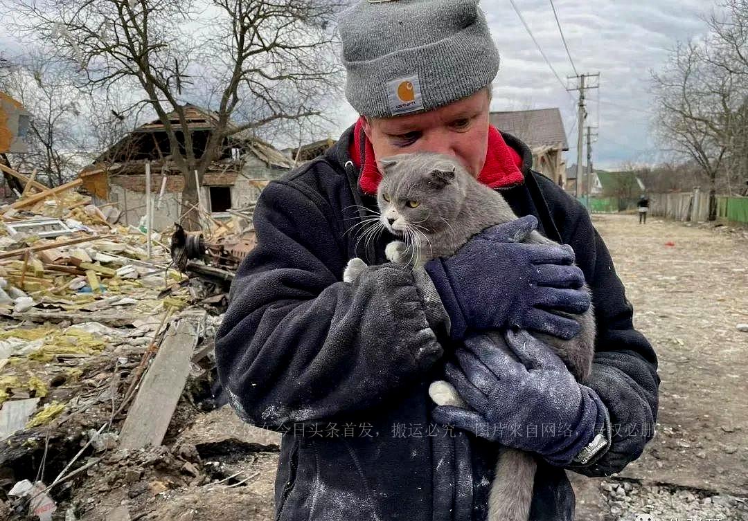 揭秘最新套路招數，深度探討與實戰解析