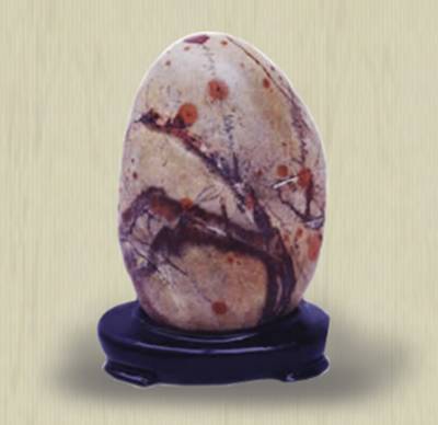 最新奇石,奇妙旅程探秘石界奧秘