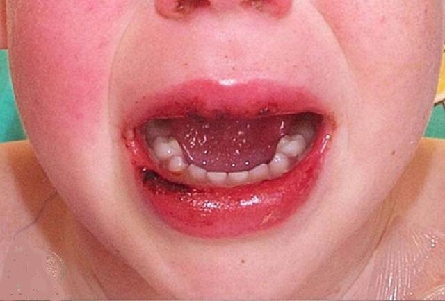 冠肺最新通報，自然美景探索之旅的心靈寧靜之旅