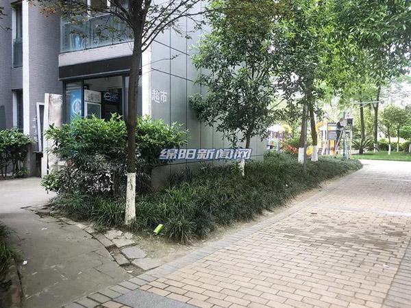 探索新時代的變遷與機遇，最新進出肖動態報道