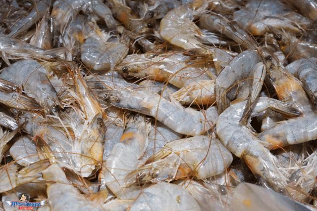 G幣最新價格動態更新,重磅資訊不容錯過!