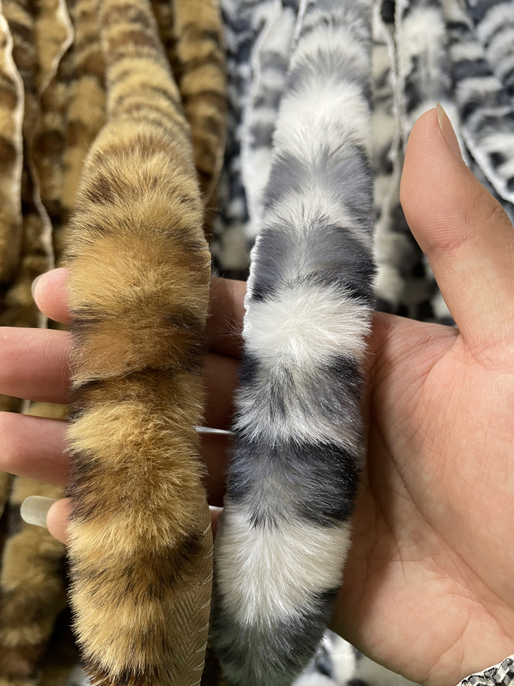 最新毛帶視頻,科技魅力展現未來生活的高科技產品介紹