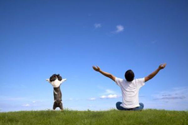 月丘最新視頻，高科技重塑生活，體驗未來科技的魅力