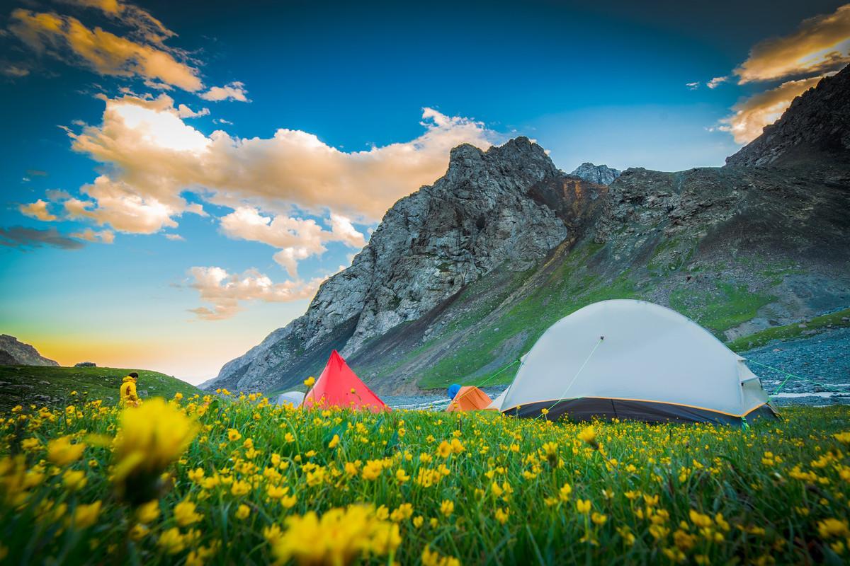 芳草冰視最新，任務完成與技能學習詳細步驟指南