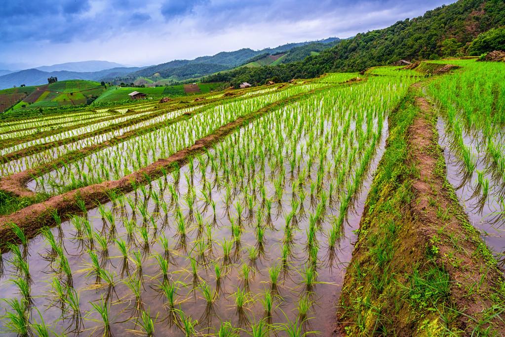 疫情控制最新動態更新，最新進展與趨勢分析