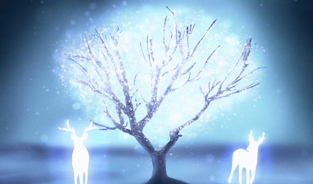 最新疾情圖,愛的紐帶與溫馨日常的記錄