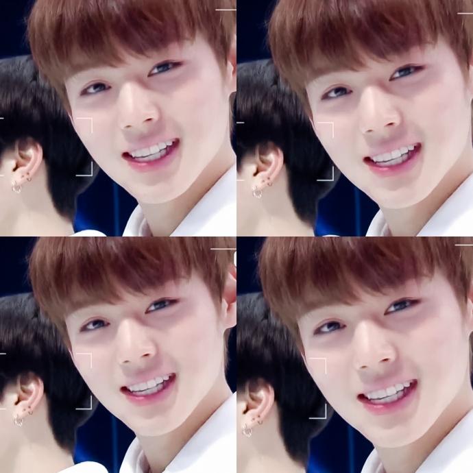 多維度視角下的李泰容最新動態探討