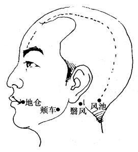最新經絡療法，開啟健康之旅的秘訣??