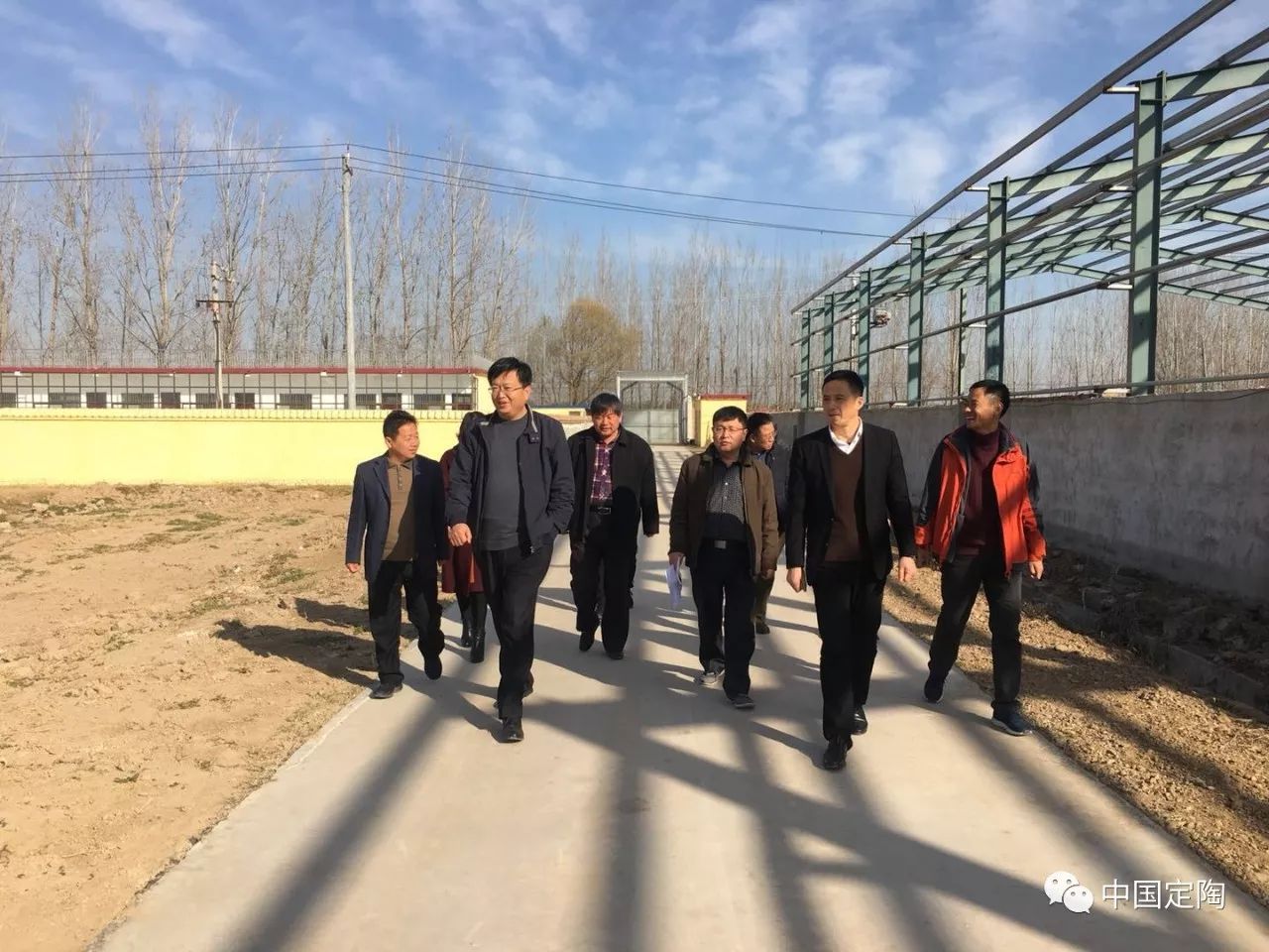 定陶最新新聞全面報道,獲取與了解最新動態步驟指南