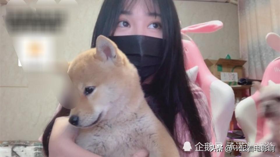 小團(tuán)團(tuán)最新露臉,科技新品亮相,感受未來生活魅力