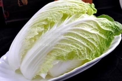白菜今日最新價格及市場走勢多元觀點探討