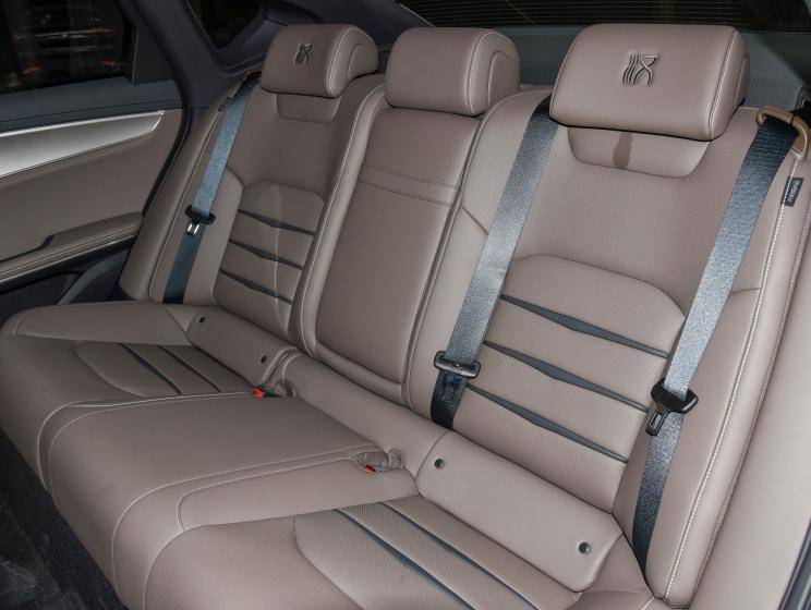 最新款樹杈,自信與成長的旅程啟程