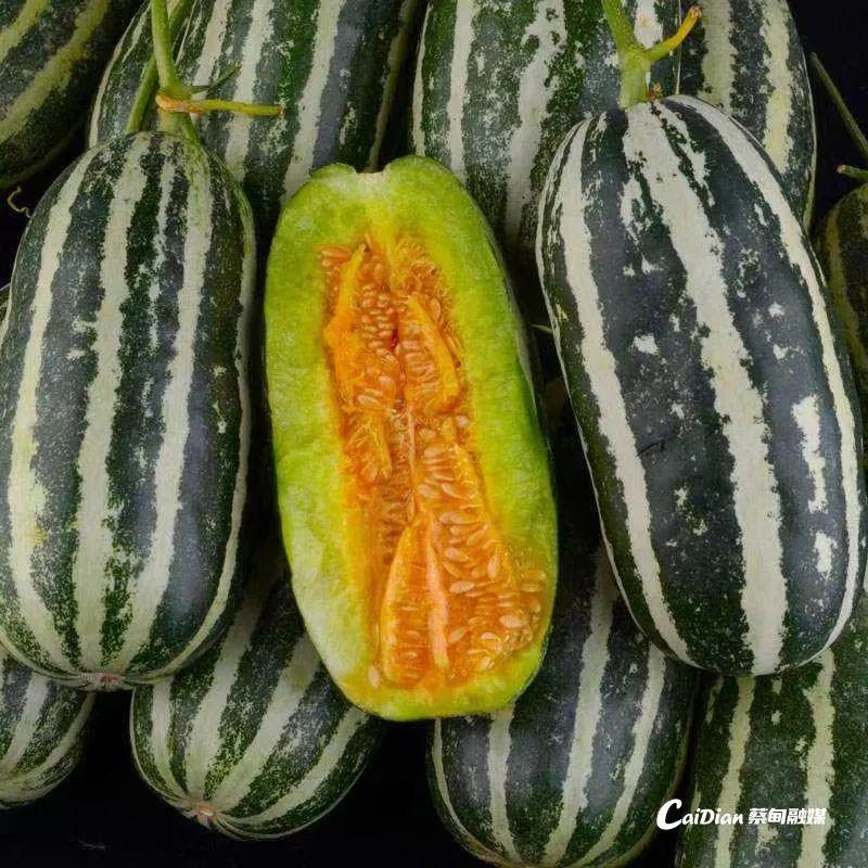 網(wǎng)紅最新瓜，一場(chǎng)溫馨有趣的日常故事揭秘