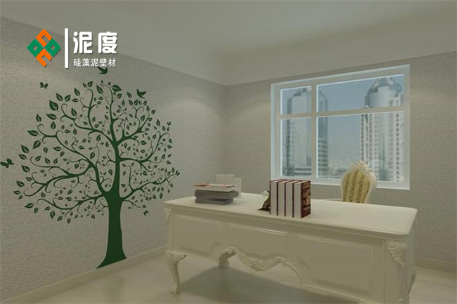 硅藻泥最新圖冊(cè)，純凈與美學(xué)的完美融合探索