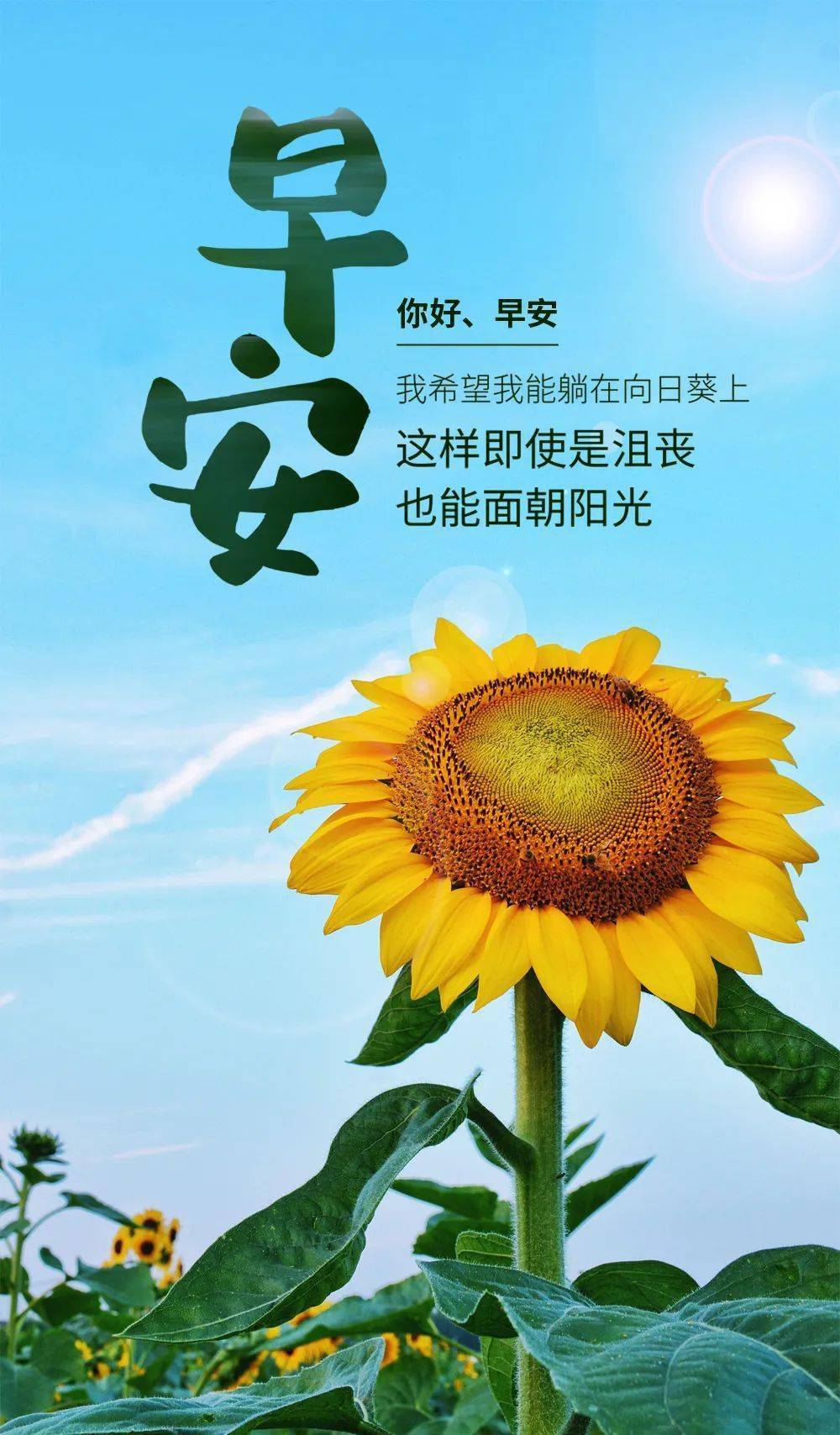 最新早安經典語錄,與自然美景的浪漫相遇,啟程內心的平和之旅