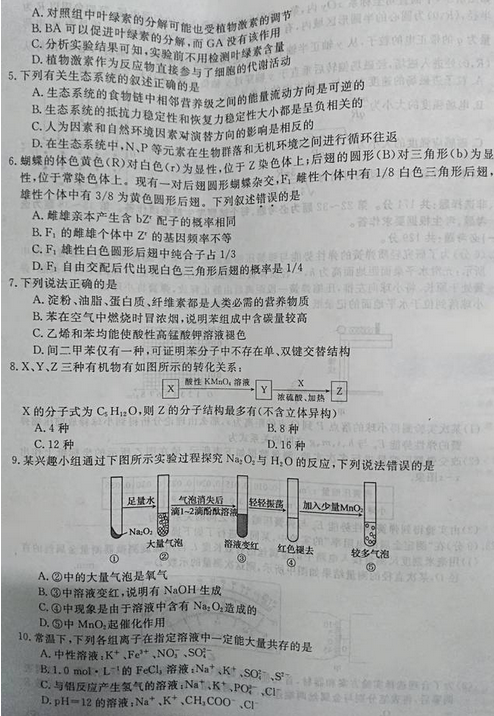 最新概念答案，擁抱變化，自信成就夢(mèng)想之旅