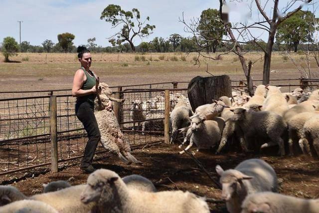 最新病毒控制,深度論述與應對策略