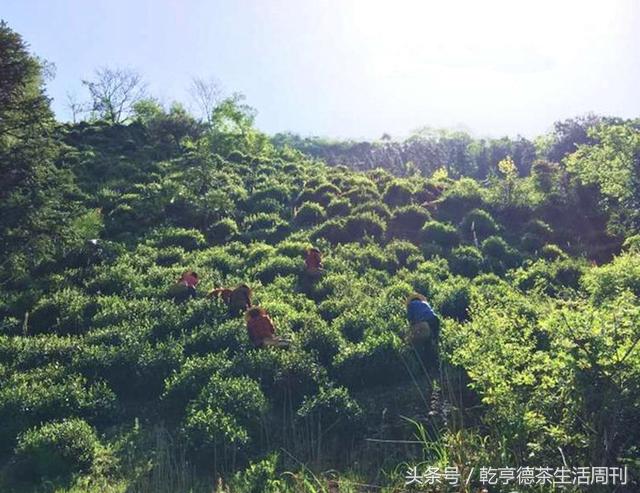 宣城新冠病毒防護指南，最新防護策略及應對方法