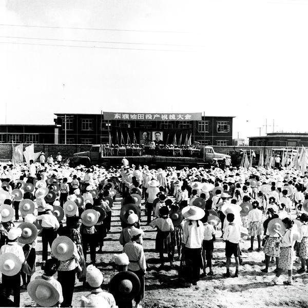 濮陽最新人口數據,城市人口發展的觀察與思考