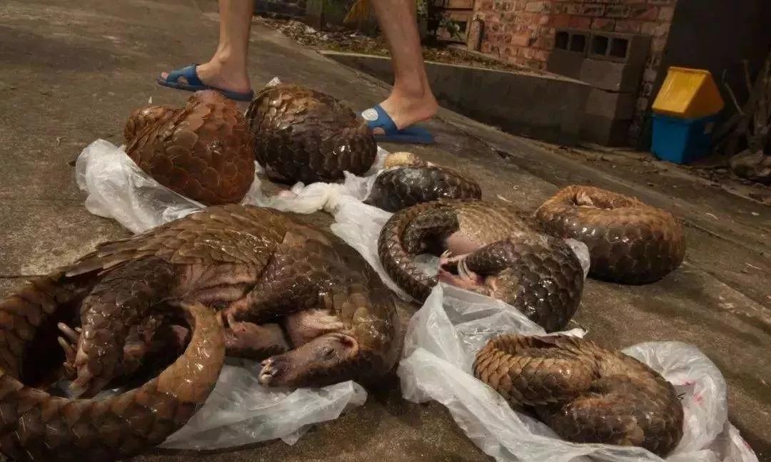 管軼最新證據揭示，變化是成長的催化劑，學習自信之源