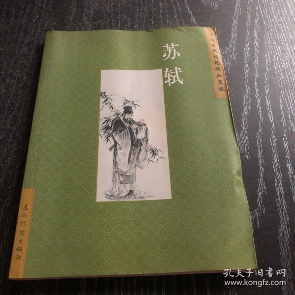 時代背景下的璀璨篇章,蘇最新章節(jié)速遞