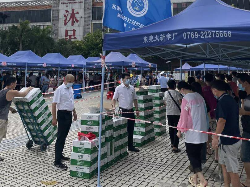 鳳崗鎮最新疫情更新