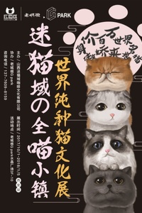 喵咪最新域，溫馨有趣的日常故事分享