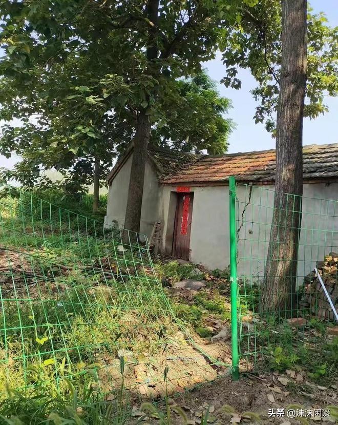 網曝門最新動態,任務完成與技能學習指南全攻略