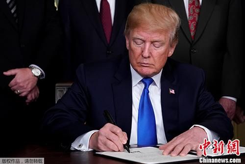 美國新任總統的日常趣事與溫馨時刻揭秘