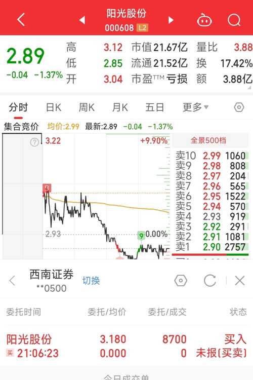 陽光股份最新動態，家的溫馨與友情邂逅的奇遇
