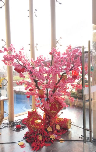 蜀鎮(zhèn)最新動態(tài),自然之旅的呼喚,探索內(nèi)心平靜的奇妙旅程之旅